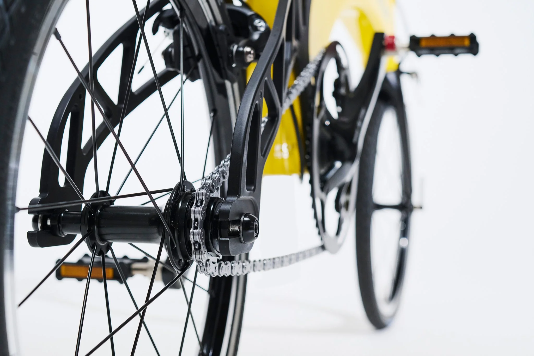 THE HUMMINGBIRD MODEL - Image 5